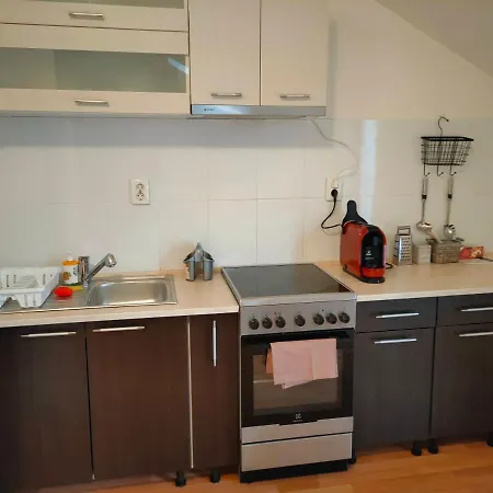 Apartmán Iosefin House *