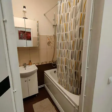 Apartment Iosefin House