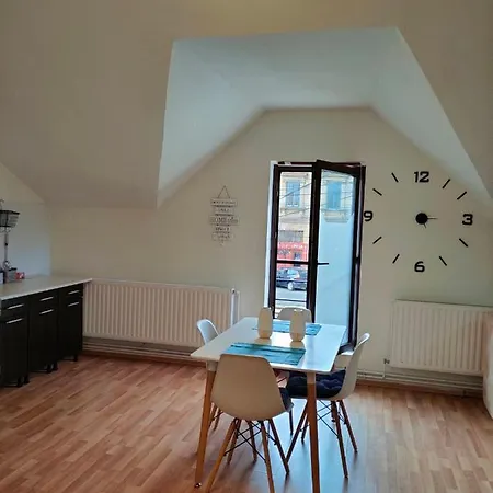 Iosefin House * Temešvár