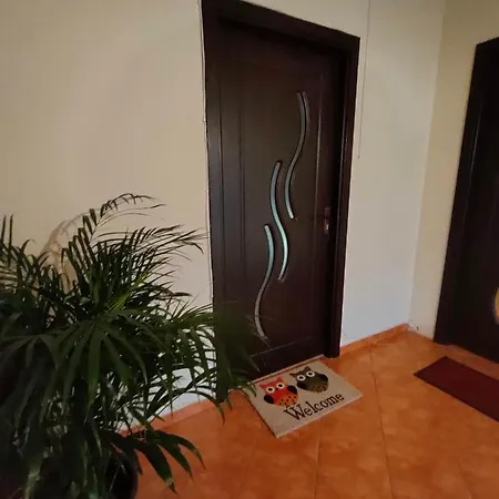 Iosefin House Apartmán