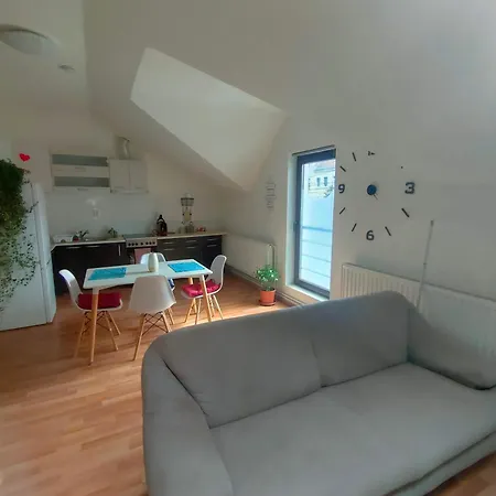 Iosefin House * Temešvár