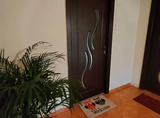 Iosefin House Apartment