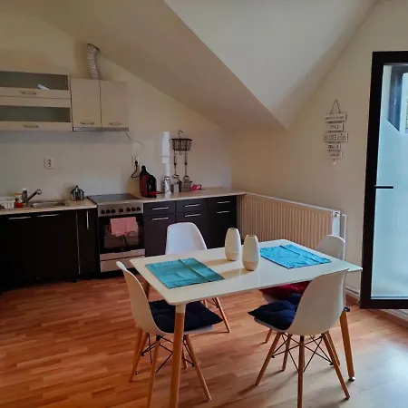 Iosefin House Apartament