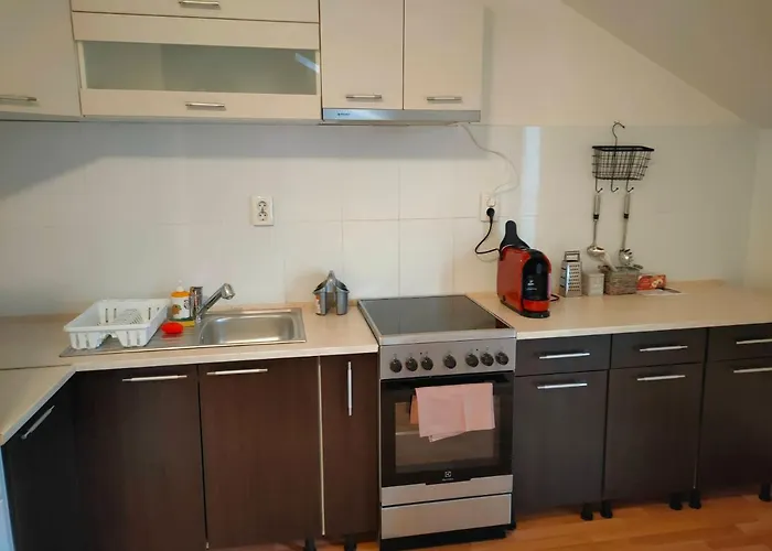 Appartamento Iosefin House *