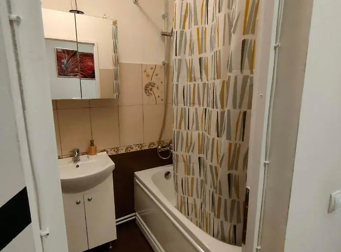 Appartamento Iosefin House